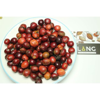 [500gr] Cà phê nguyên chất - Làng Cà Phê