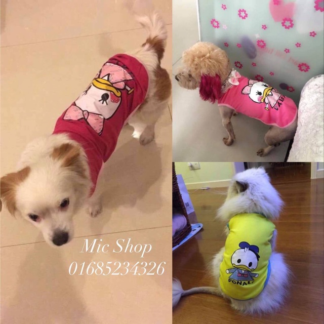 Áo thun Daisy cho thú cưng