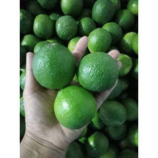 💥💥💥 Combo 3kg Chanh giấy Tiền Giang