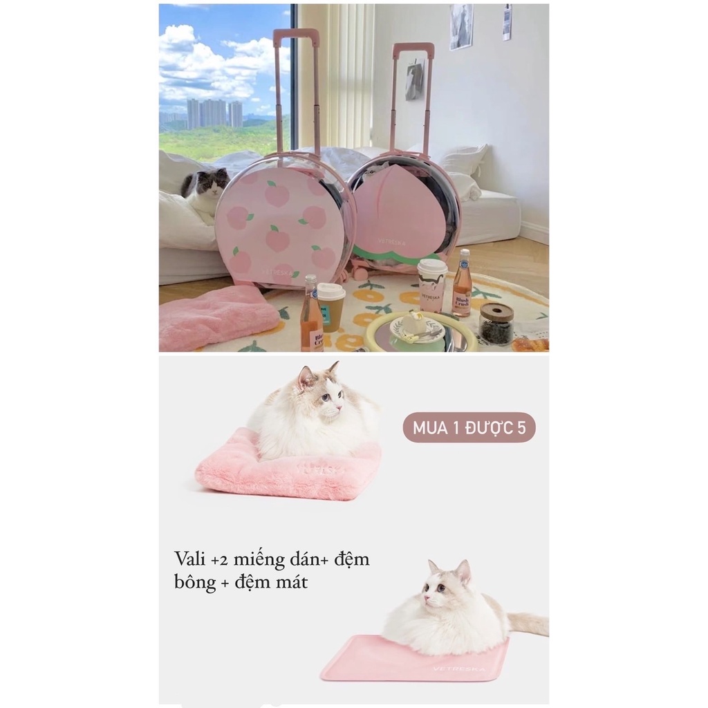 Vali đẩy cho mèo trong suốt cao cấp BECHON VALI115