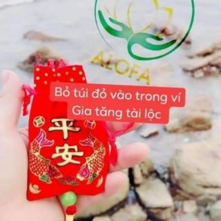 Bột phong thuỷ alofa