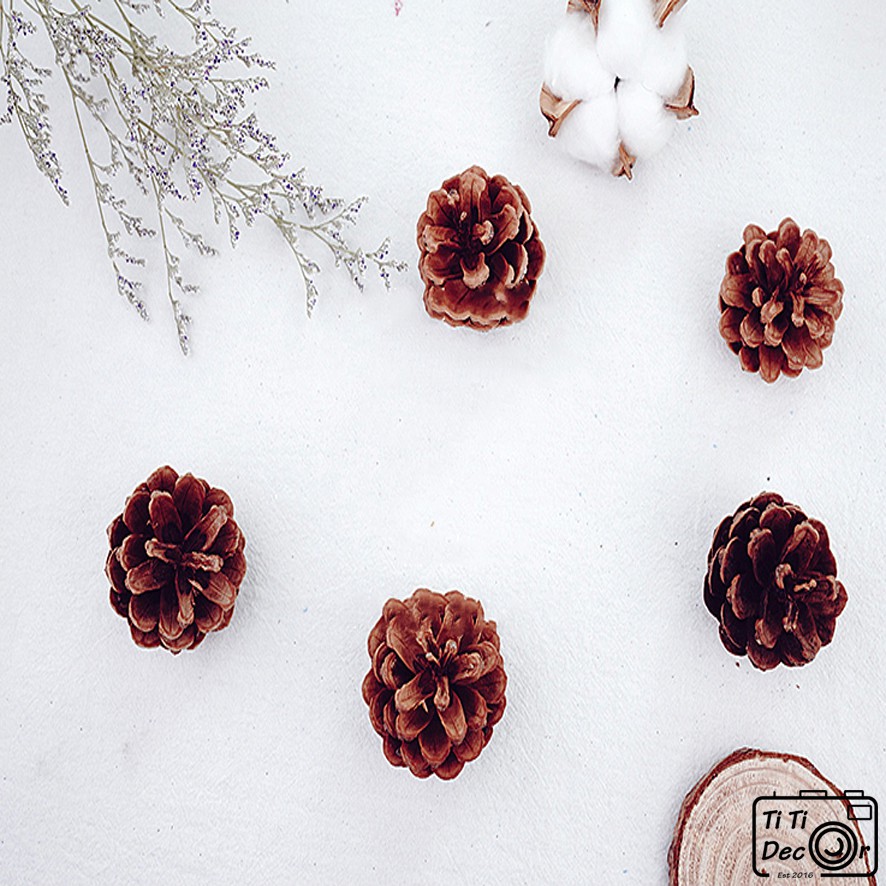 Set quả thông trang trí chụp ảnh, decor nhà cửa, cửa hàng - TiTi Decor