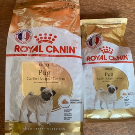 Thức ăn Hạt Royal Canin Pug Adult 500g cho chó Pug trưởng thành - Thức ăn cho chó Pug trưởng thành