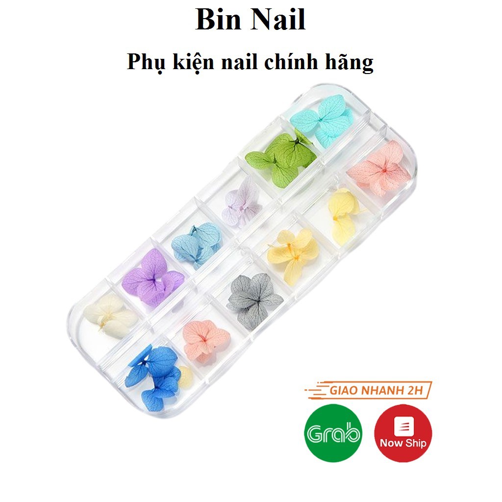 Hoa khô cánh to làm móng