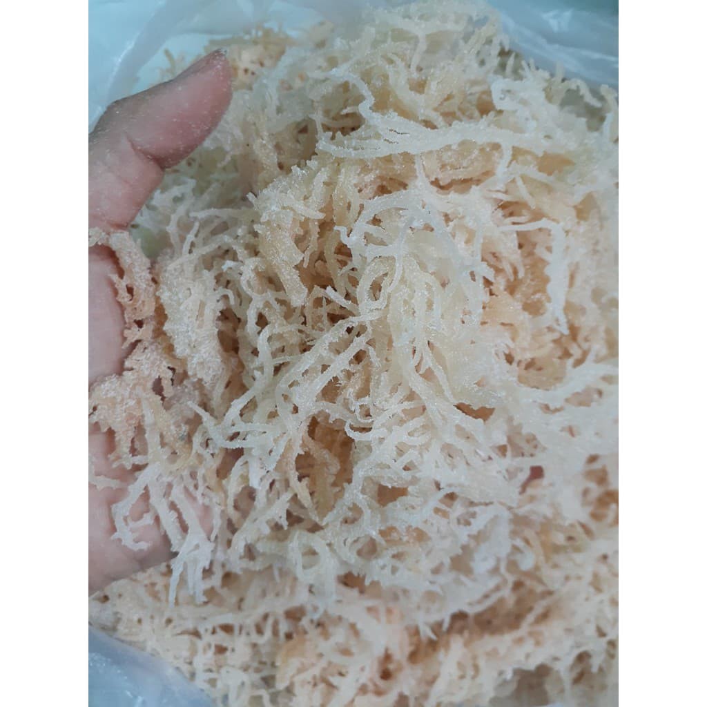 COMBO 2kg RONG SỤN TƯƠI/ RONG SỤN GAI MUỐI - dùng làm gỏi, nấu chè
