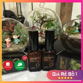 Tinh dầu Oliu dưỡng tóc