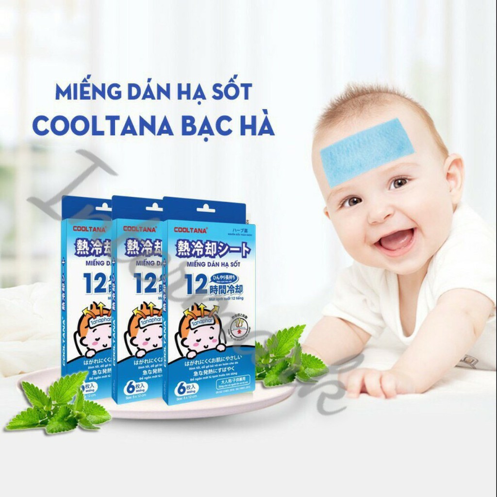 COMBO 3 HỘP MIẾNG DÁN HẠ SỐT