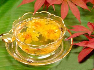 Trà hoa cúc kim tiền