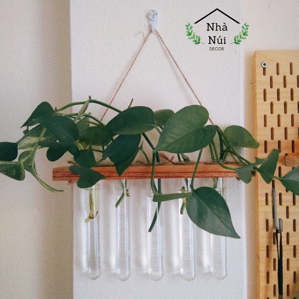 Kệ khung giá gỗ treo tường trồng cây thủy sinh, hoa khô trang trí decor nhà cửa gắn ống nghiệm phong cách Decor Nhà Núi