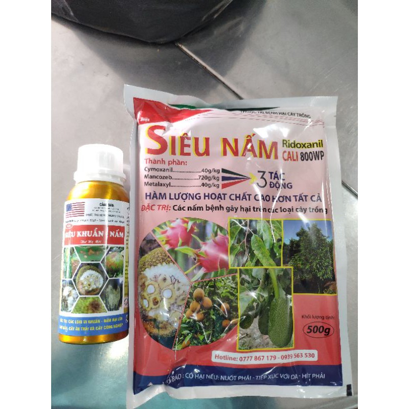 CẶP ĐÔI SIÊU NẤM SIÊU KHUẨN