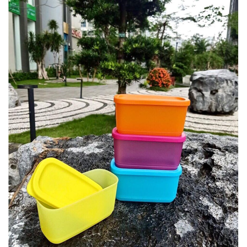 Bộ hộp Mini Rectangular 250ML  Tupperware - Kín khí - Nhựa nguyên sinh an toàn 100% - Bảo hành trọn đời