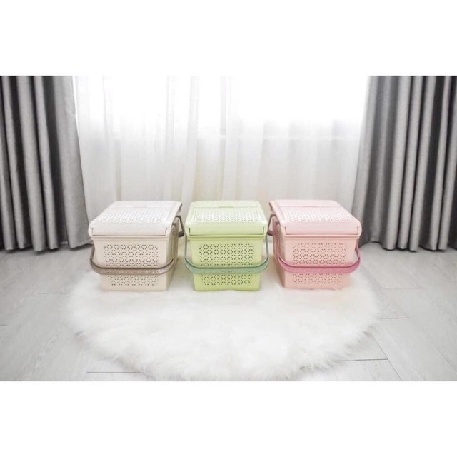 Giỏ hai ngăn nhựa