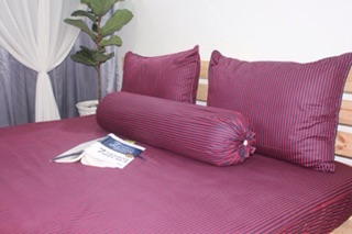 Bộ drap cotton 100%