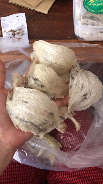 Yến sào nguyên tổ thô 10, 20gr+🎁 SHOPEE TRỢ GIÁ | BigBuy360 - bigbuy360.vn