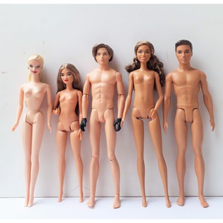Set búp bê Barbie Ken