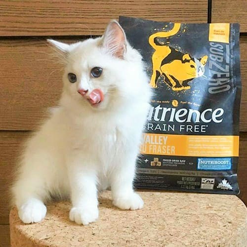 [DINH DƯỠNG CAO]  Thức Ăn Hạt Cho Mèo Nutrience Subzero Bao 5kg - Thịt Gà, Cá Hồi, Cá Tuyết, Rau Củ, Trái Cây Tự Nhiên