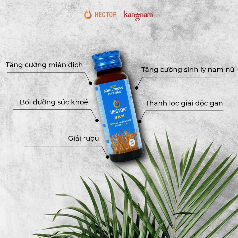 Nước Đông Trùng Hạ Thảo Hector Sâm Hộp 10 Chai x 50ml Hector Cordyceps Ginseng