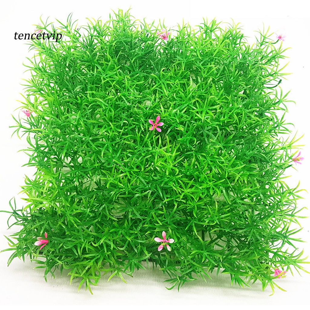 Thang Leo Bằng Nhựa Tinh Tế Dễ Sử Dụng Cho Bể Cá
