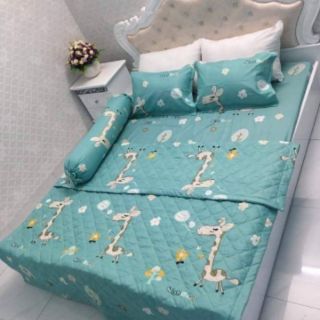 Set vỏ ga gối chăn hè poly cotton