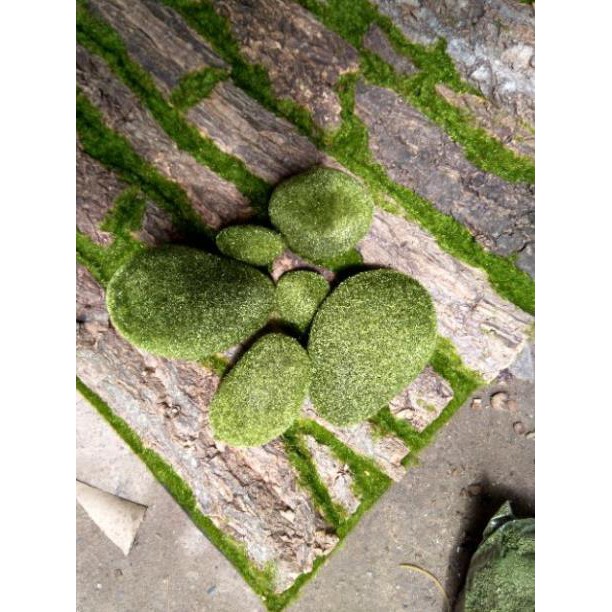 Rêu giả trang trí