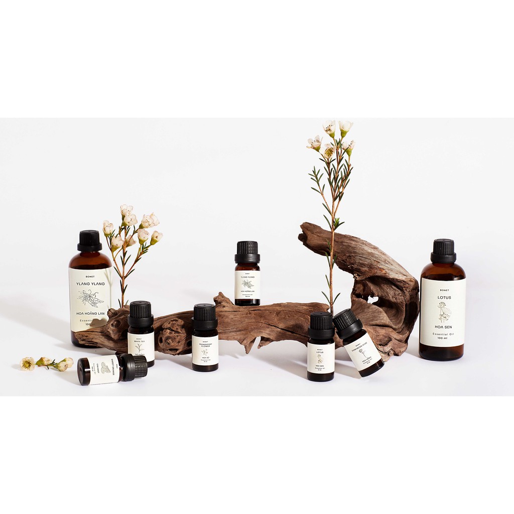 TINH DẦU BONET HƯƠNG TRÀ TRẮNG 10ML