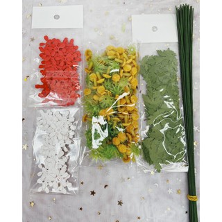 Set hoa cúc Tana giấy - Mua về tự làm