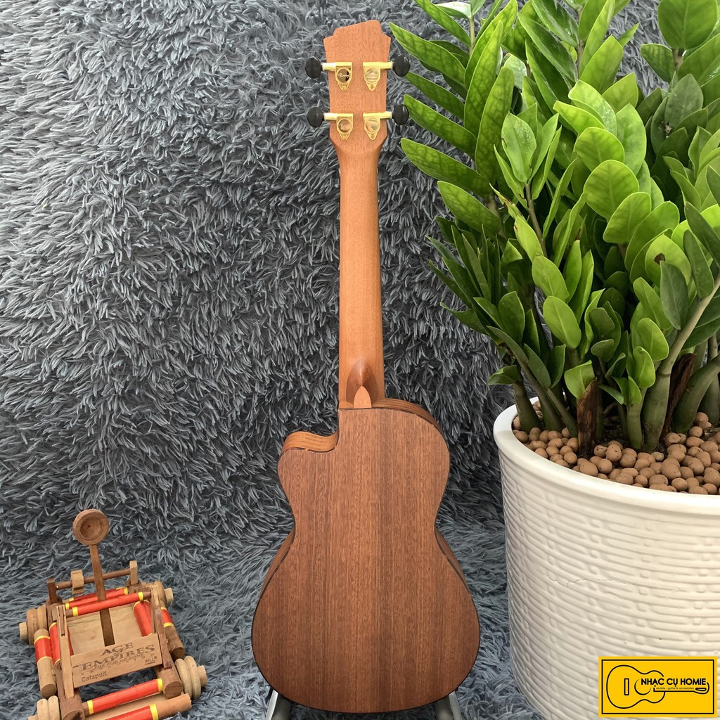 ĐÀN UKULELE CONCERT HOA KHUYẾT 23INCH KHÓA GOLD