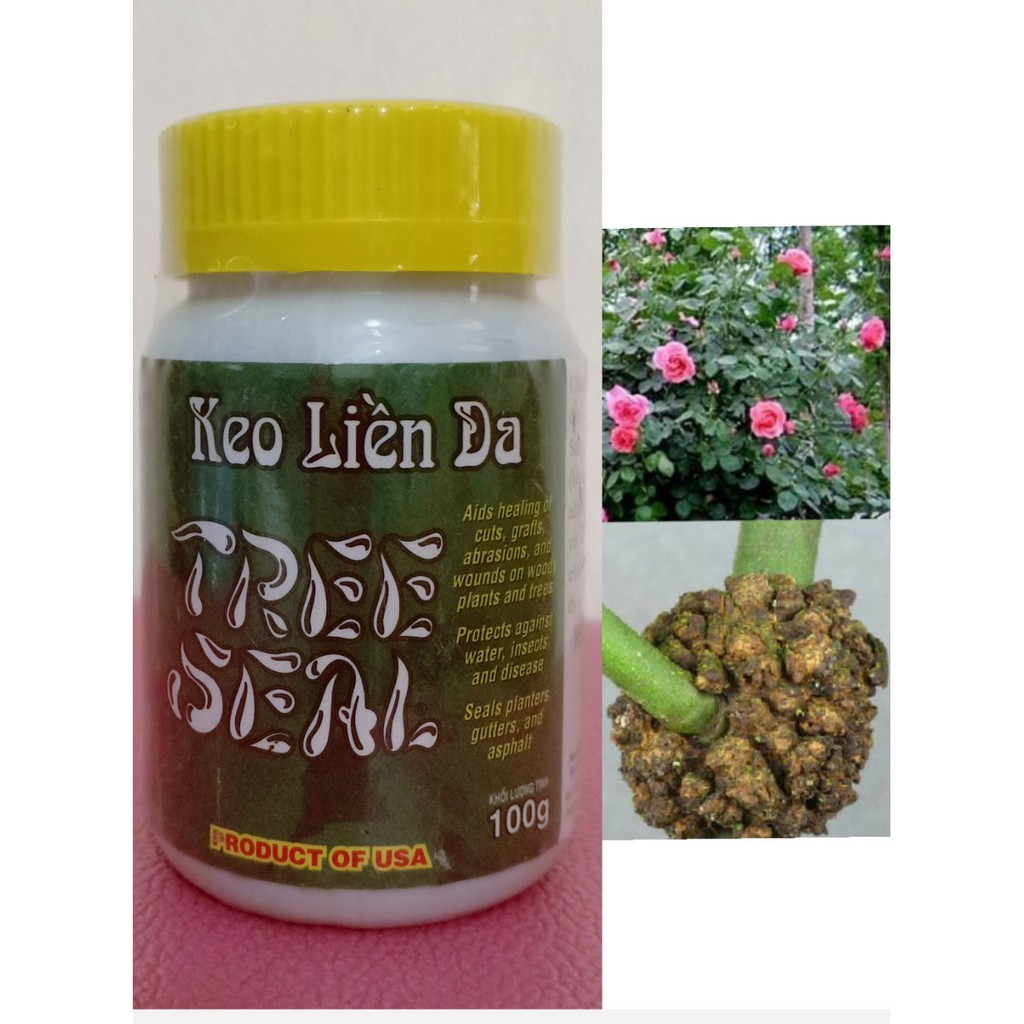 Keo liền sẹo (liền da) cho cây hoa hồng, lan, cây cảnh Rorrisons Tree Seal (USA)