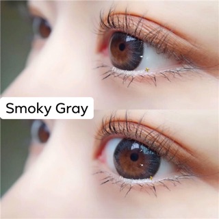 Smoky Gray Lens