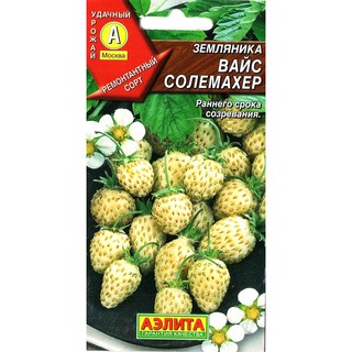 Hạt Giống Dâu Tây Trắng (0.04g)