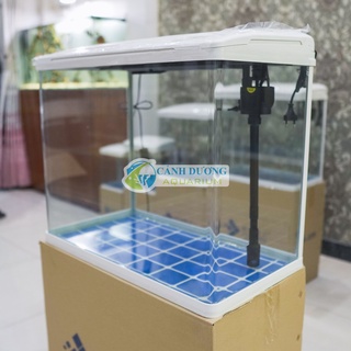Hồ Cá Mini Để Bàn XS-620 (Combo đầy đủ)