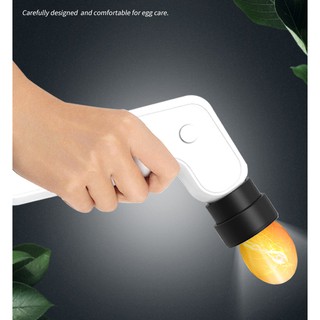 Đèn Soi Trứng C2 ( kèm 2 đầu soi trứng )