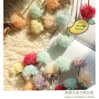 Hoa chùm nhỏ trang trí décor chụp ảnh