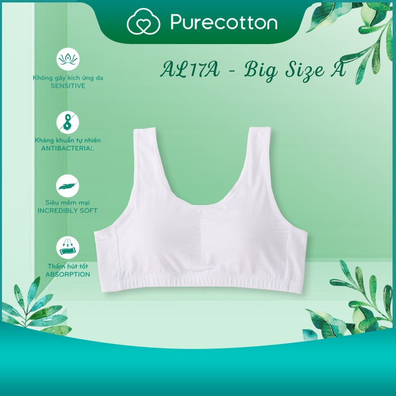 Bộ sưu tập áo lót học sinh Purecotton BIGSIZE cho bé gái mới lớn chất cotton cao cấp dáng áo chui đầu có đệm mỏng PC011