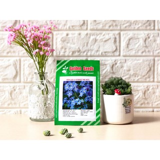 Hạt Giống Hoa lưu ly 100 Hạt/ Gói