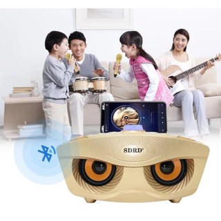 Loa Bluetooth karaoke SD-306 [HAY LẮM LUÔN ]