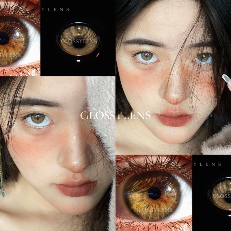 Kính áp tròng PI BROWN Lens | Size không giãn HSD 3tháng. Giá 1 đôi tặng khay @glossylens.vn