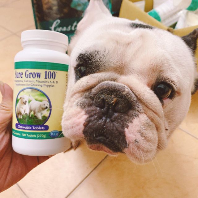 Canxi cho chó Sure Grow 100