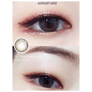 Js37 Gray có độ cận ( Lens sd 1 ngày)- Januarylens