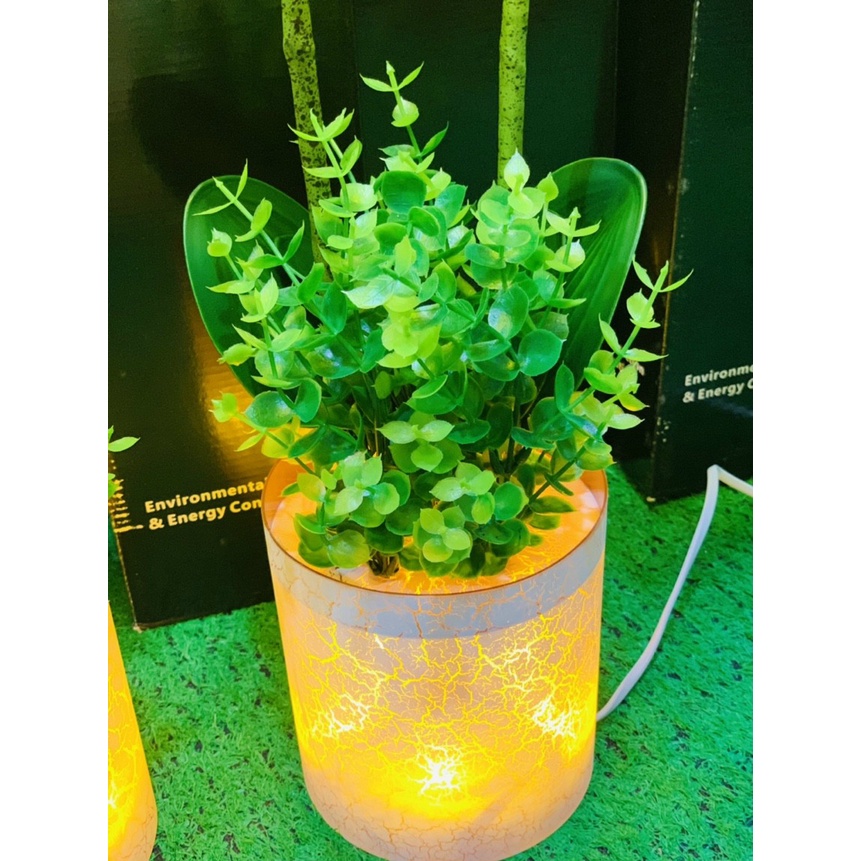 Chậu Hoa Lan Hồ Điệp  có đèn Led trang trí nhà, quà tặng CAO 80CM