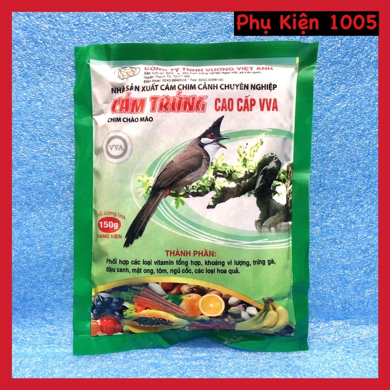 Cám chim Chào Mào Vương Việt Anh
