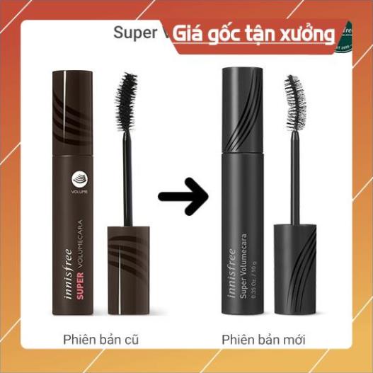 Mascara làm dày mi innisfree Super Volumecara 10g