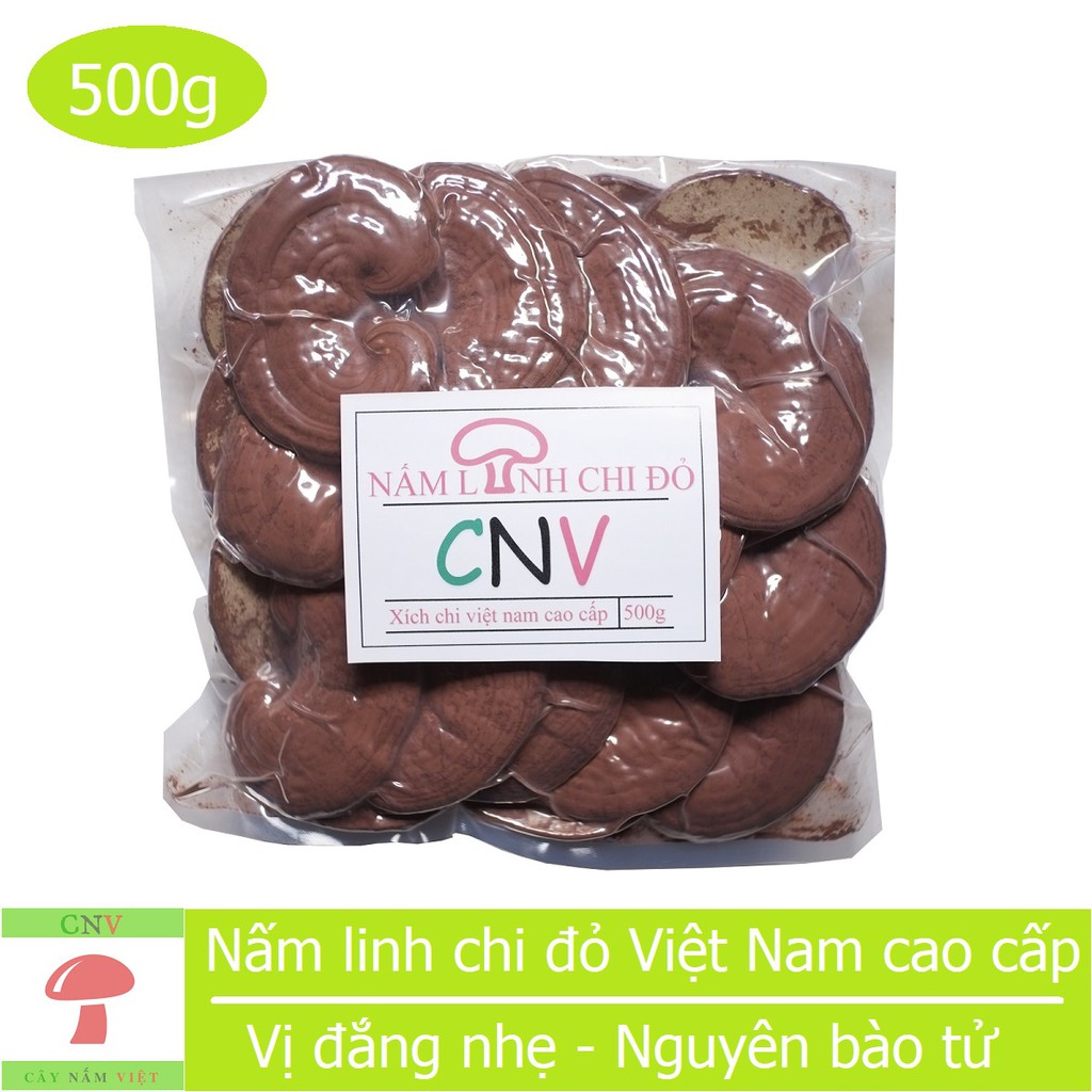 Nấm linh chi đỏ Việt Nam 500g (Nguyên bào tử) - Cây Nấm Việt | BigBuy360 - bigbuy360.vn