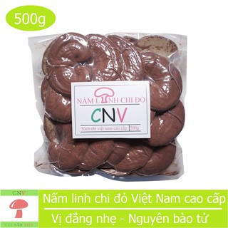Nấm Linh Chi Đỏ Việt Nam
