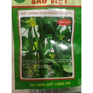 Hạt giống dưa chuột Nhật F1