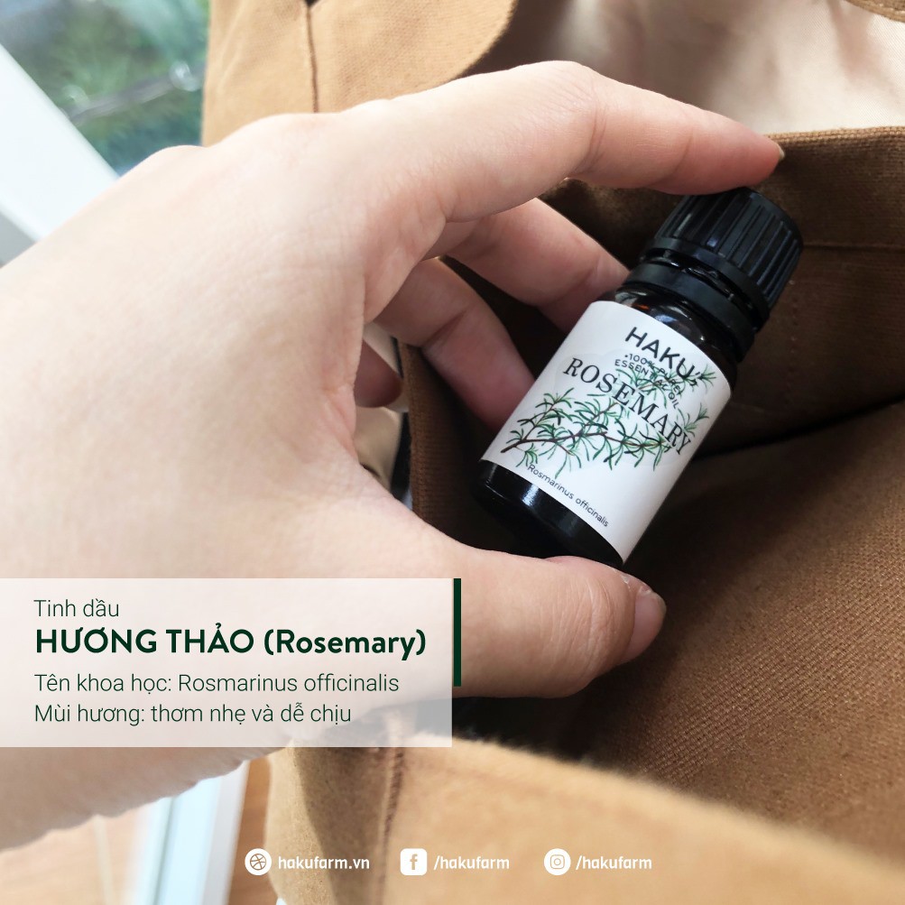 Tinh dầu Hương Thảo Rosemary