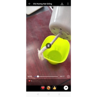 Chậu cây bẫy kẹp bắt mồi - Venus Flytrap