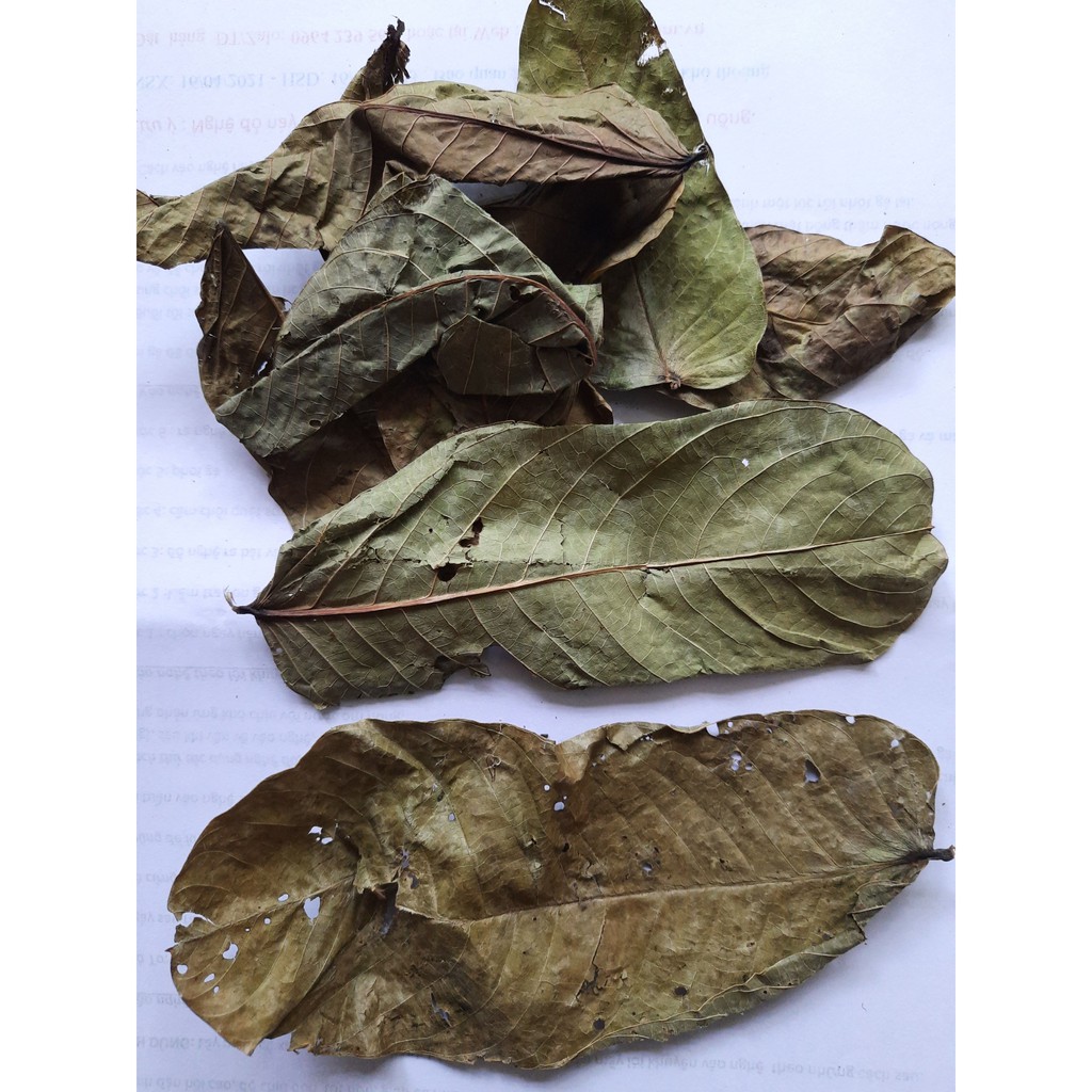 LÁ MUỒNG TRÂU-túi 1kg loại khô | BigBuy360 - bigbuy360.vn