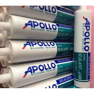 SILICON APOLLO
