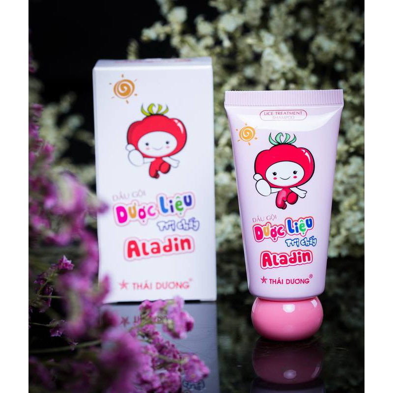 DG dược liệu trị chấy Aladin thái dương 30g